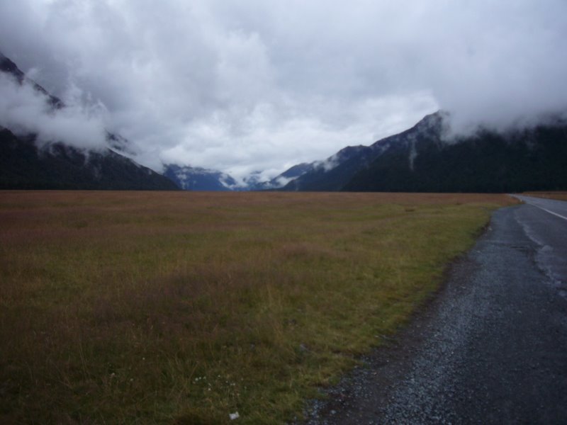 Eglinton Valley, between Te Anau and Milford Sounds. Imprissive!